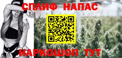 эйфоретик Кимры