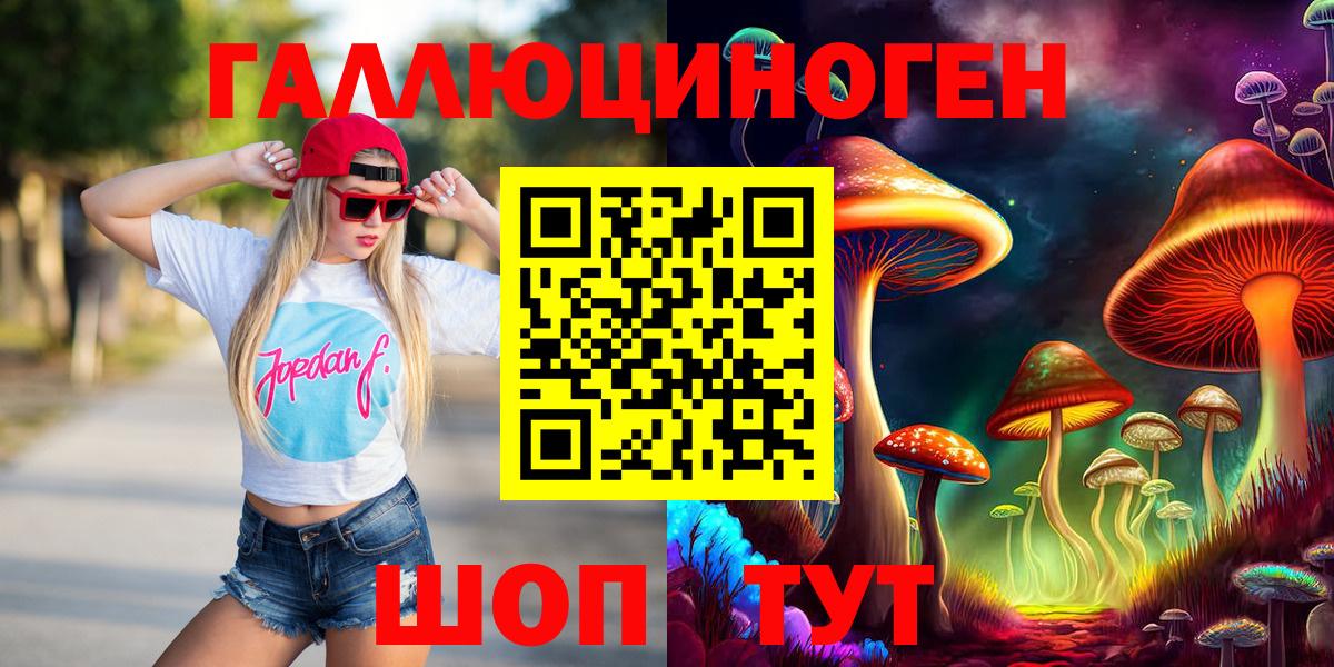 Псилоцибиновые грибы Psilocybine cubensis Дальнегорск